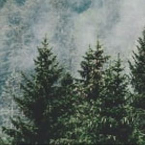 ✨ thanks for visiting my shop ✨